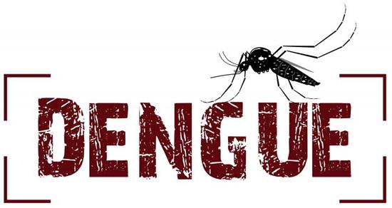 Chegada do verão e o combate à dengue