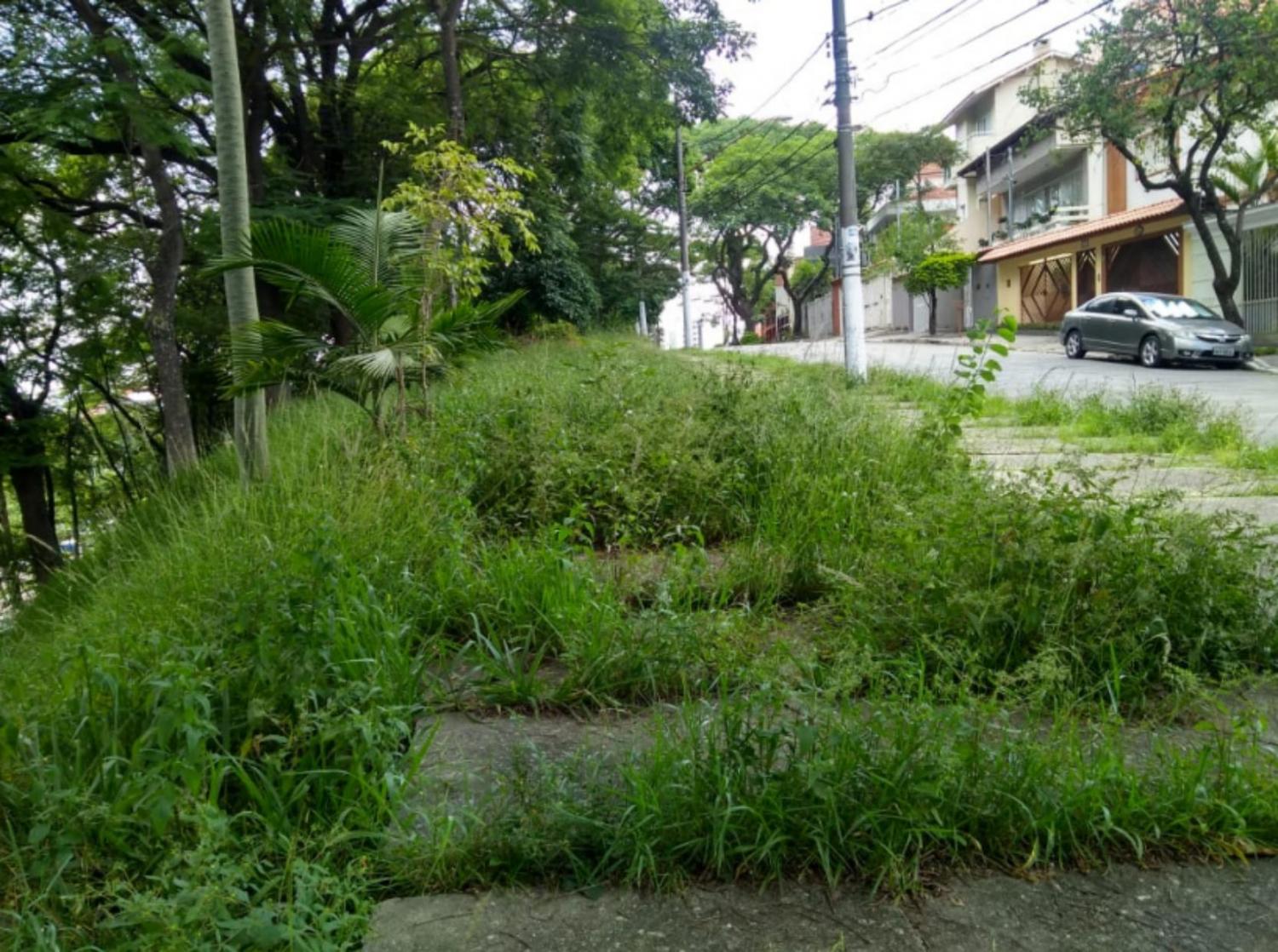 Jardim São Paulo sofre com o descaso das autoridades e provoca transtornos aos moradores da região