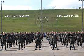 2ª Divisão de Exército realiza o Exercício Agulhas Negras 2019