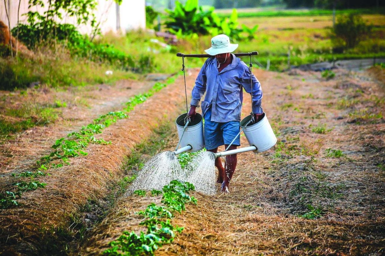 Dia do Trabalhador Rural