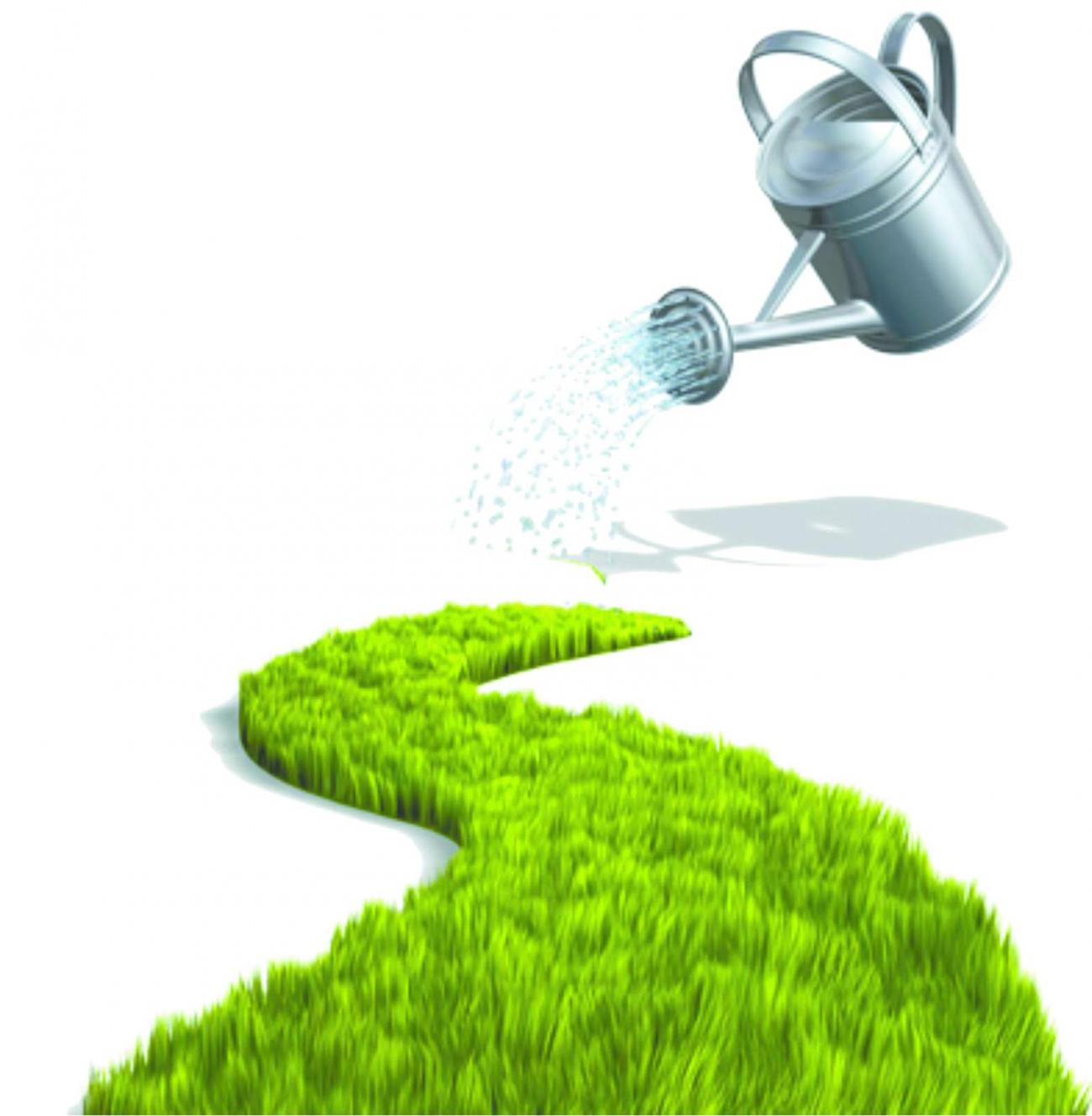 Dia do Engenheiro Florestal - 12 de julho