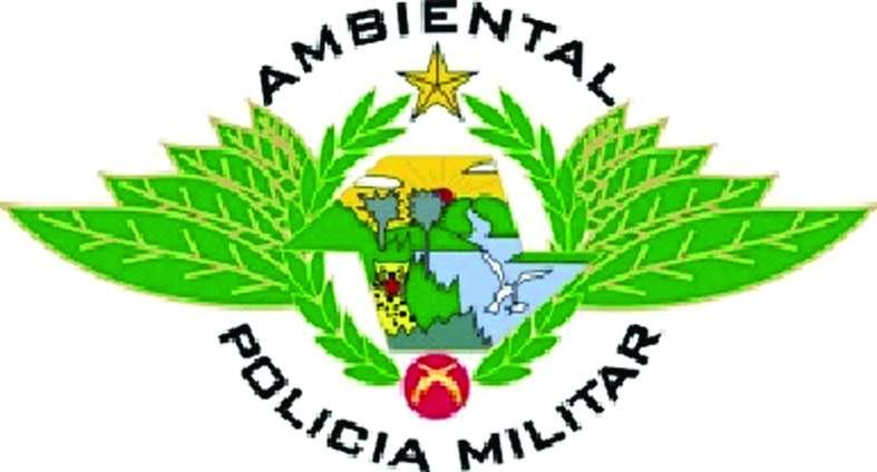 Polícia Militar Ambiental na defesa das florestas