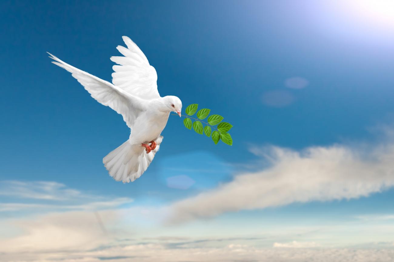 1º de janeiro é o Dia Mundial da Paz