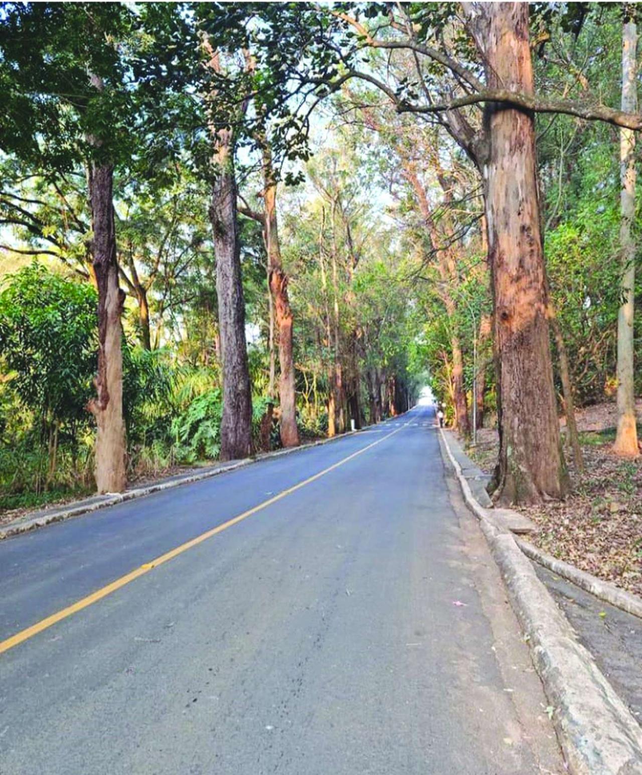 Alamedas da invernada enaltecem a história militar dentro da Centenária Academia do Barro Branco