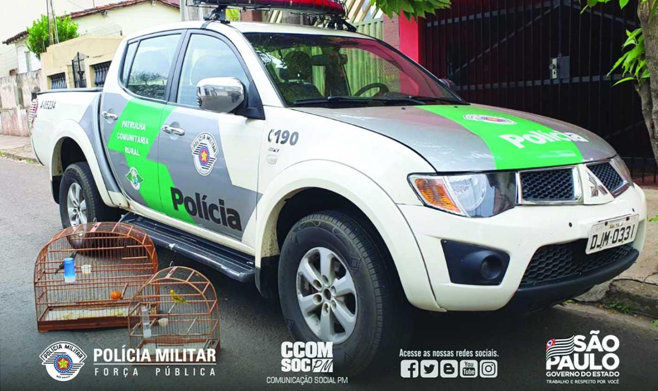 Polícia Ambiental localiza pássaros em cativeiro no município de Piracicaba