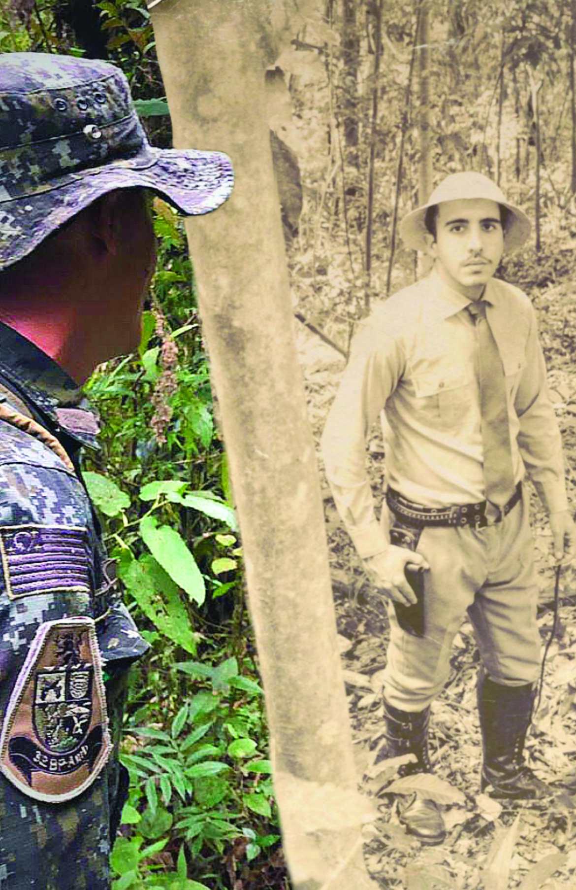 72 anos de proteção ao Meio Ambiente