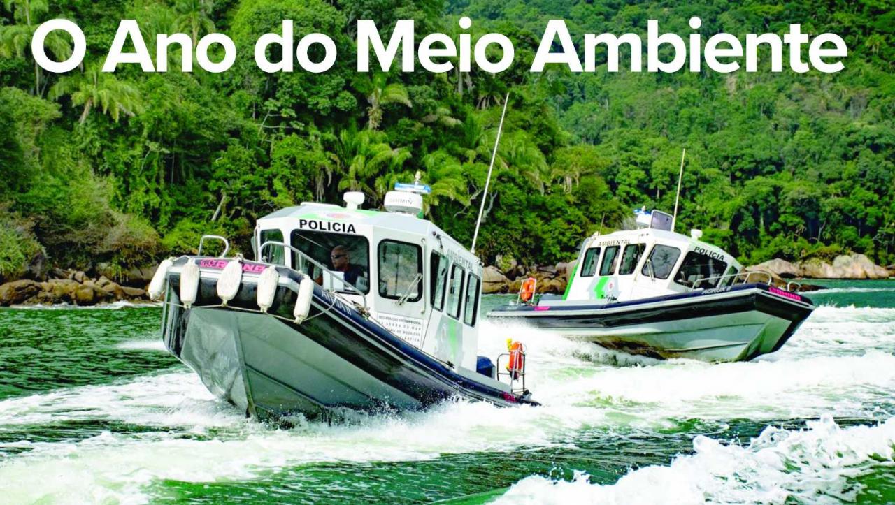 O Ano do Meio Ambiente