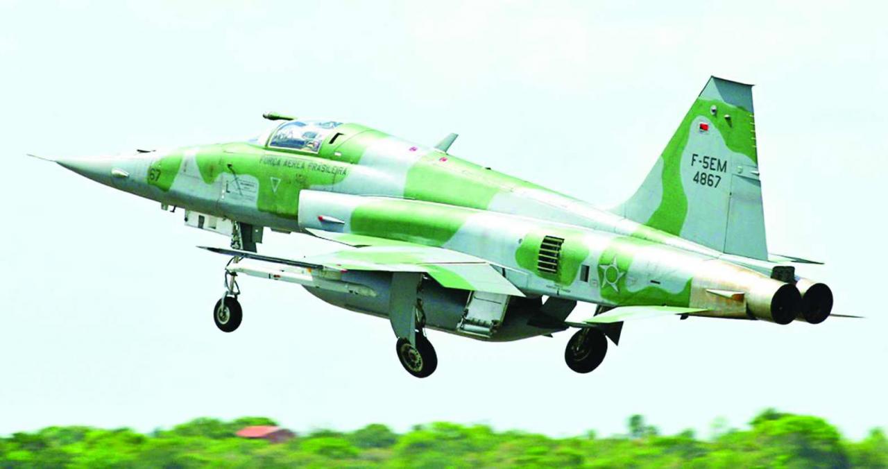 Dia da Força Aérea Brasileira e da Aviação de Caça