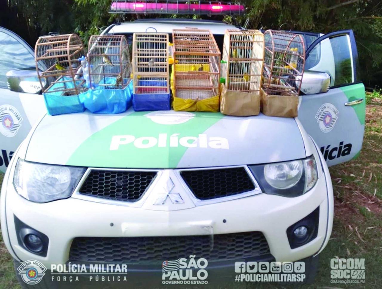 Policia Ambiental resgata aves nativas em Piracicaba