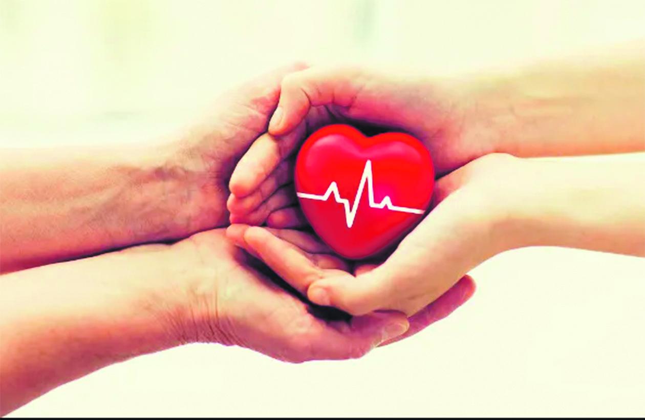 Falta de doadores voluntários deixa estoques  de sangue em estado crítico