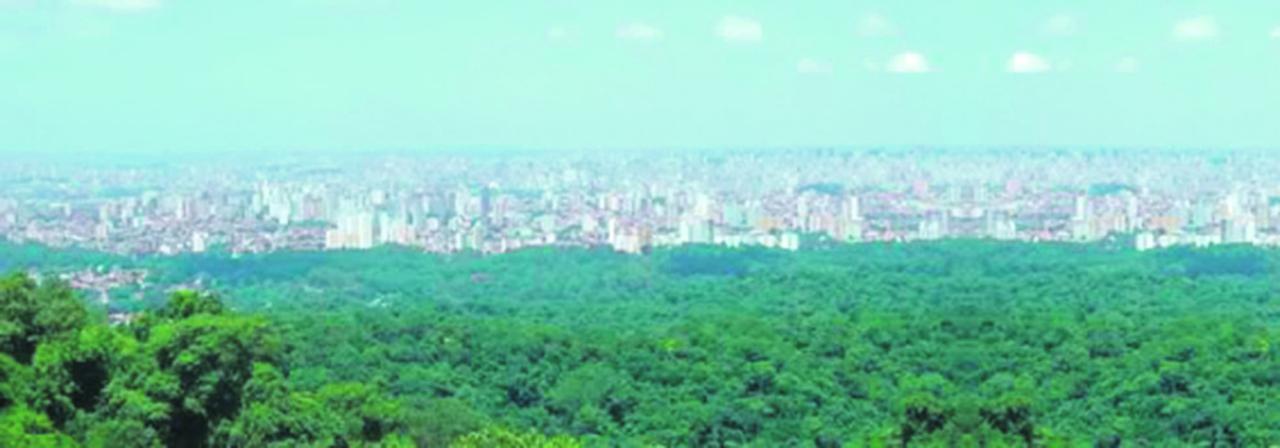 Bairro do Tremembé faz aniversário