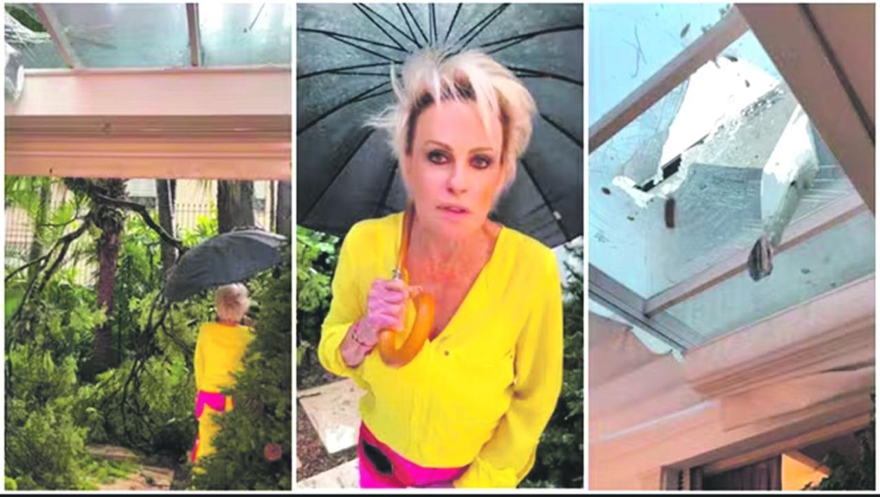 Subprefeitura de Pinheiros afirma que queda de árvore é de responsabilidade exclusiva da apresentadora Ana Maria Braga