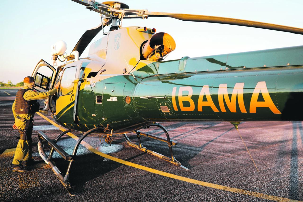 Dia de Criação do Ibama