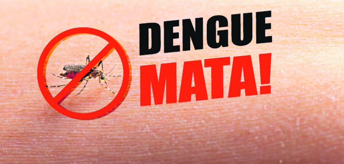 Ministério da Saúde, estados e municípios unem esforços para ações de enfrentamento da dengue