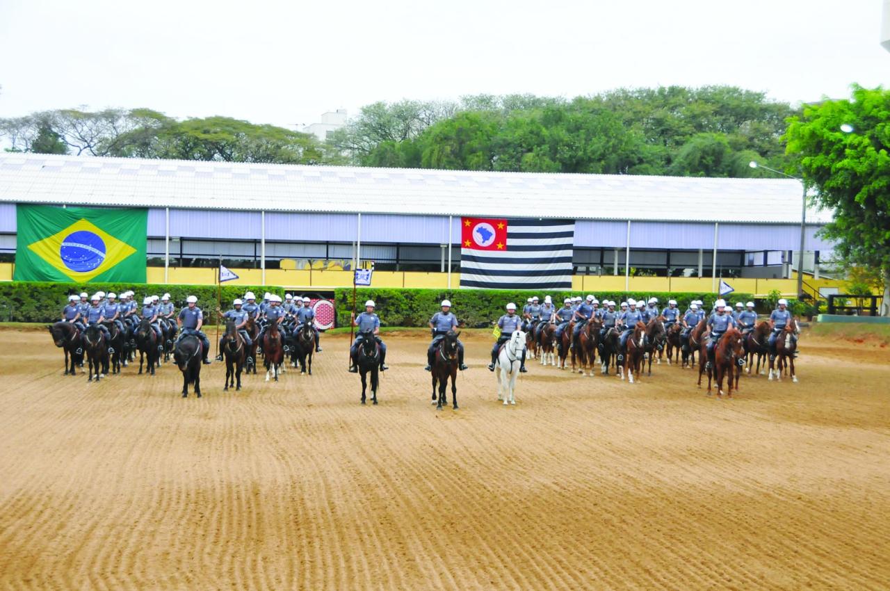 Dia da Cavalaria