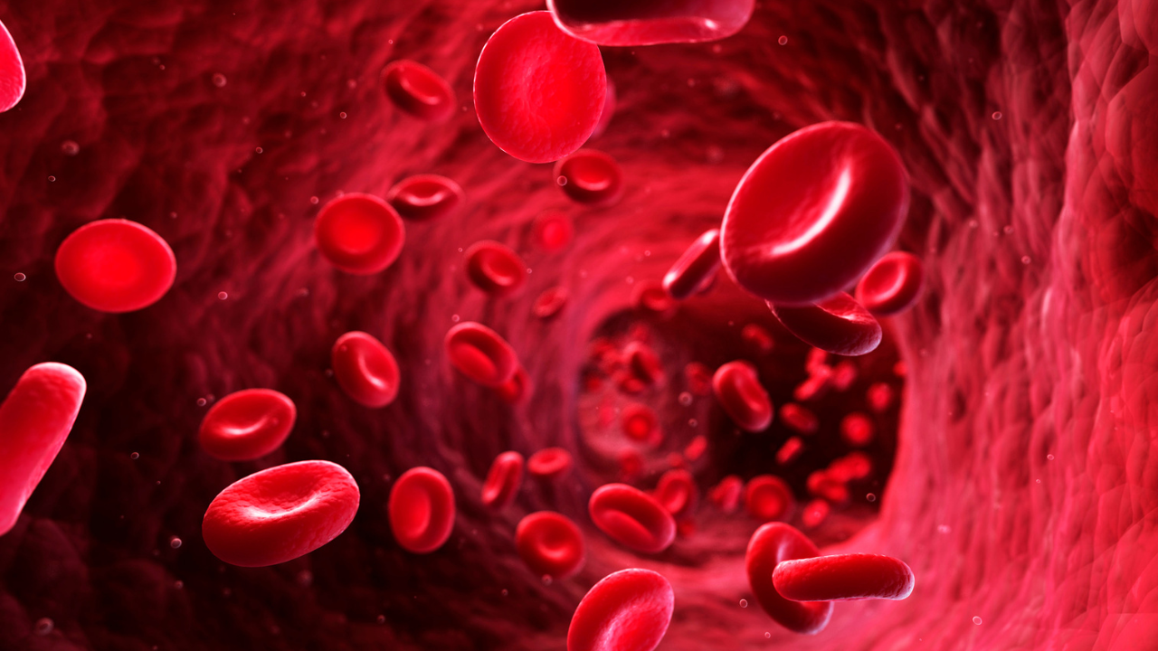 Falta de doadores voluntários deixa estoques de sangue em estado crítico