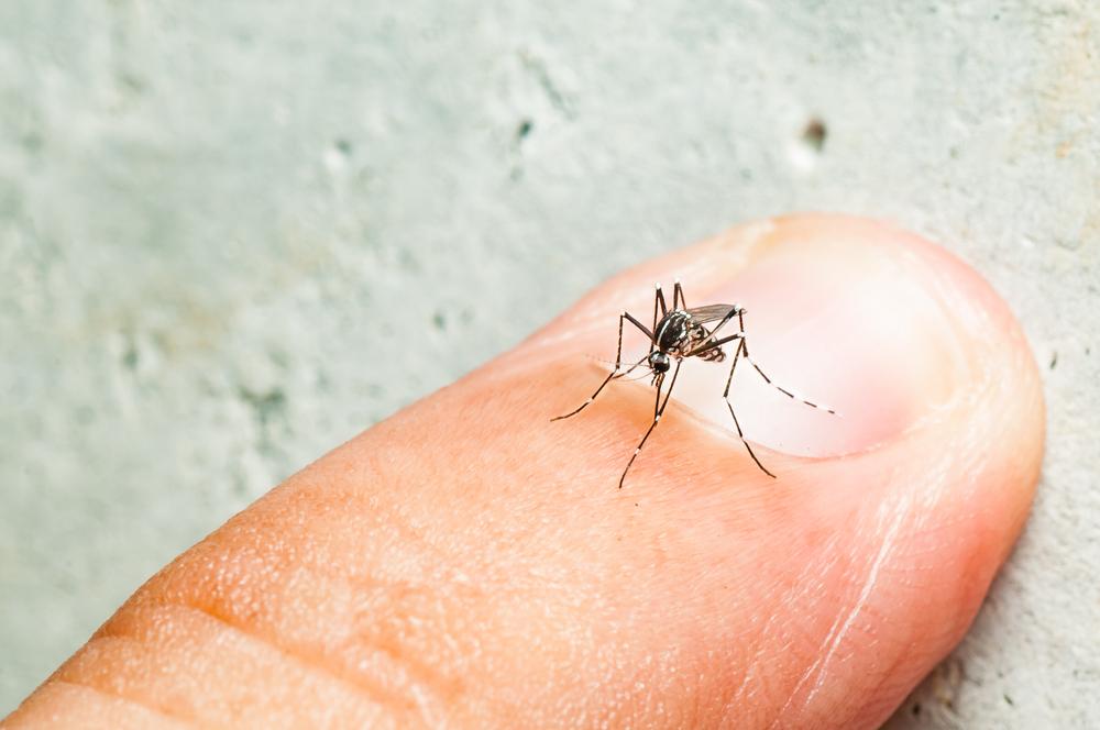 Ministério da Saúde, estados e municípios unem esforços para ações de enfrentamento da dengue