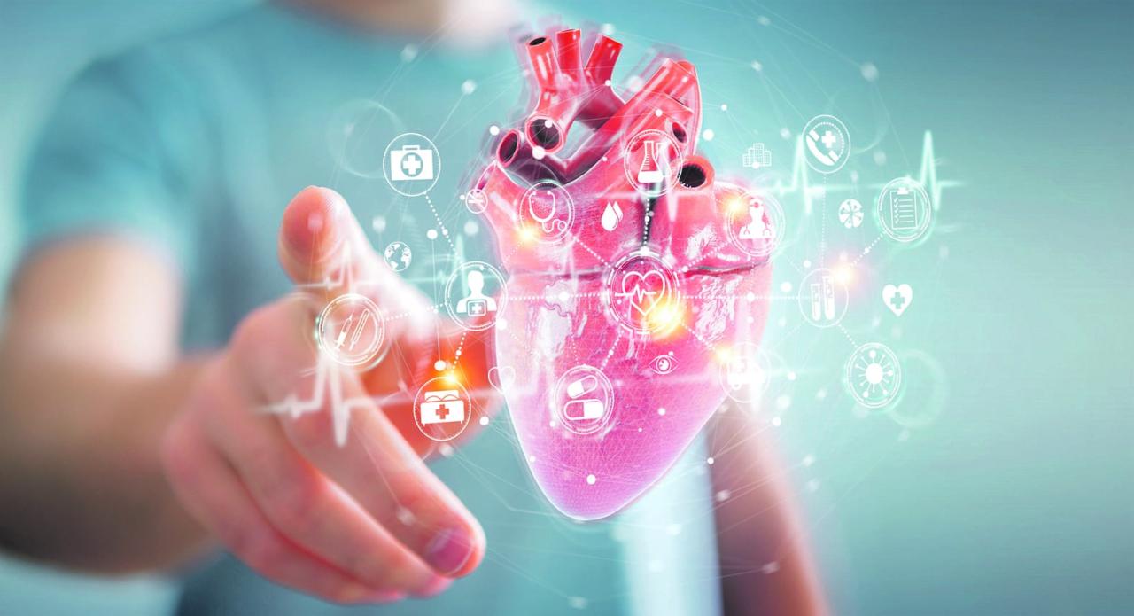 Dia do Cardiologista