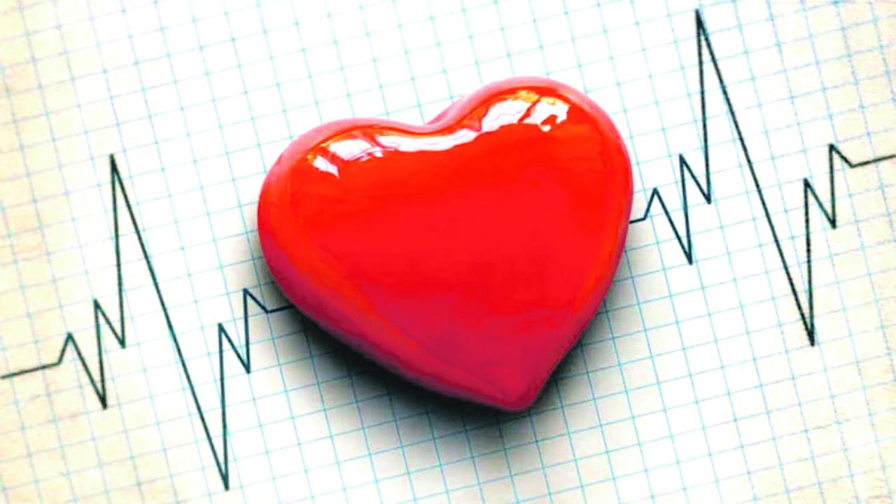 Dia do Cardiologista