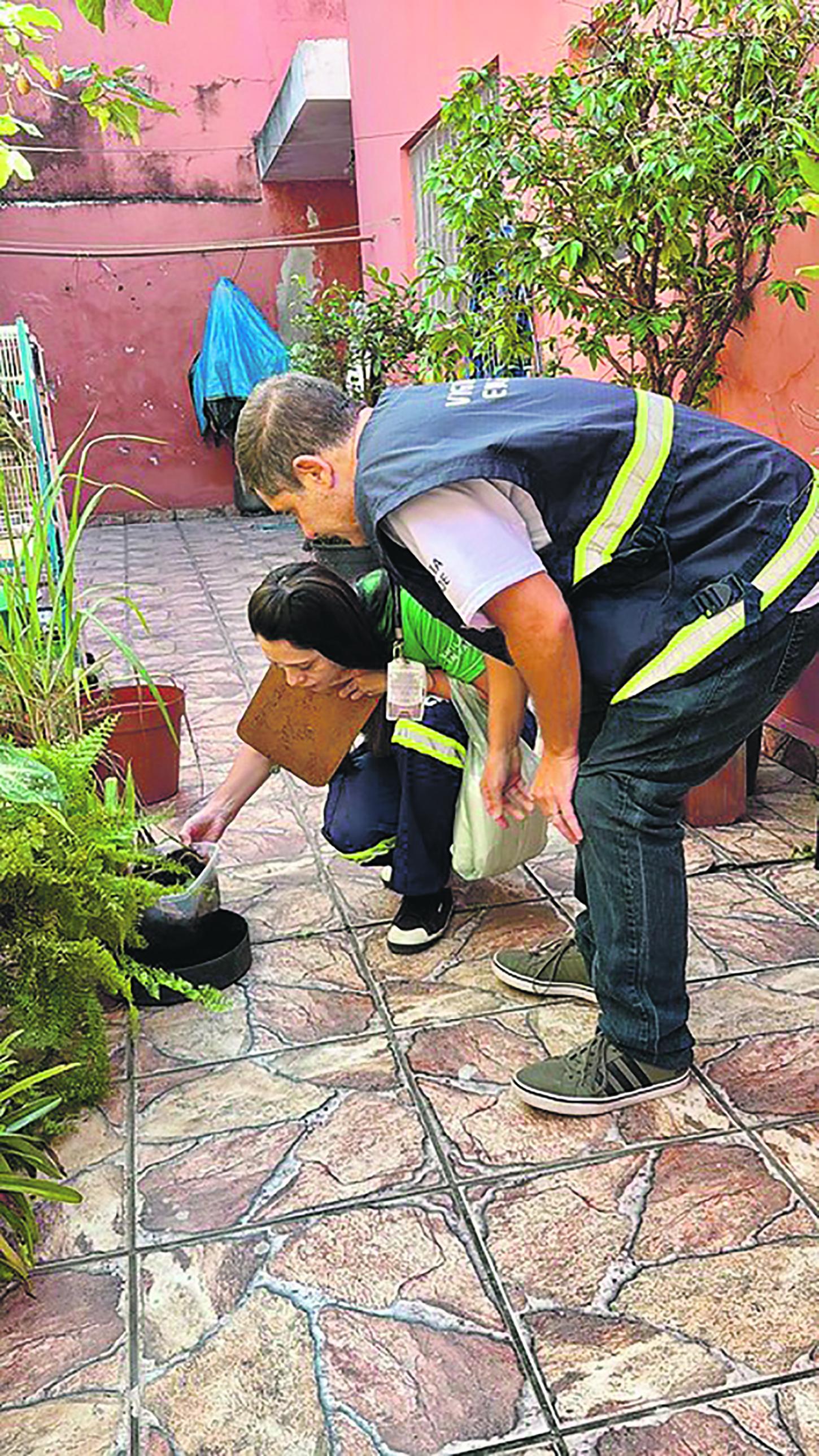 Prefeitura realiza cerca de 27 mil ações no Dia D de Combate à Dengue em São Paulo
