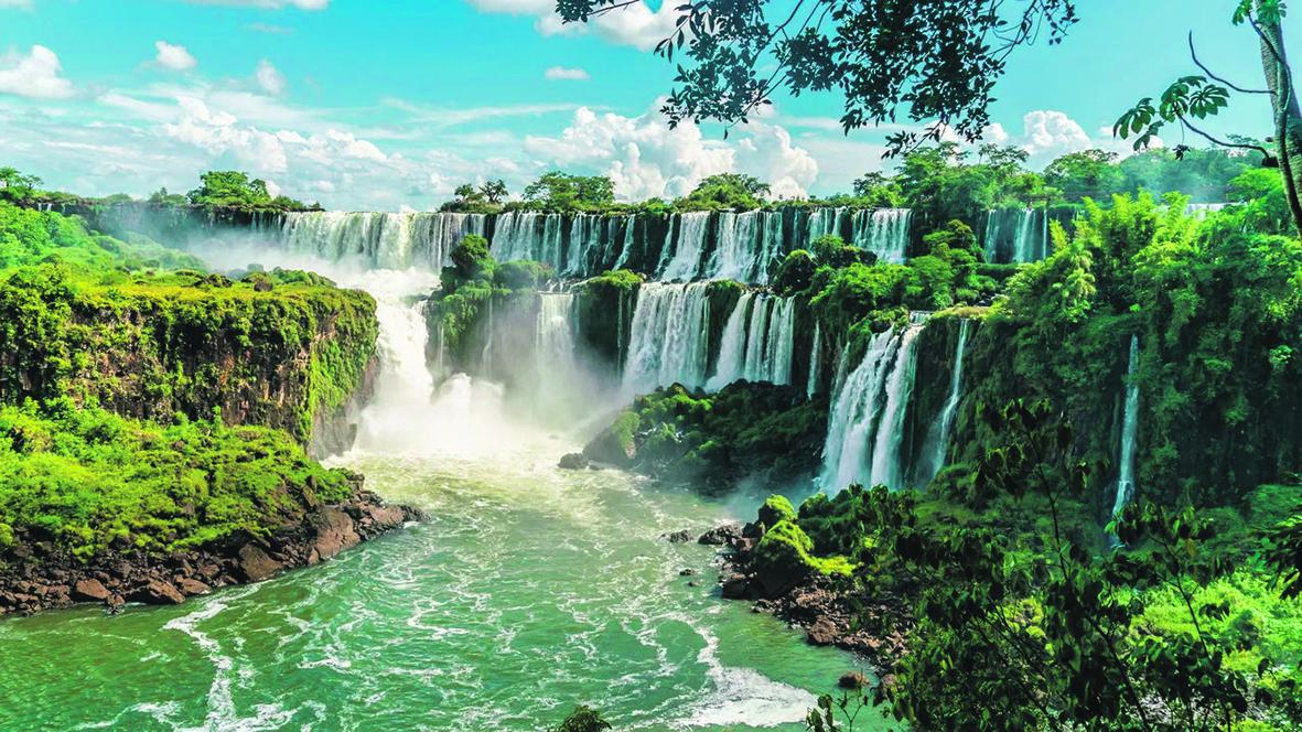 Dia da Natureza alerta para os impactos das ações humanas