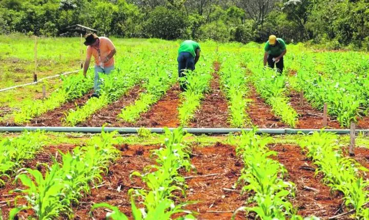Dia da Conservação do Solo