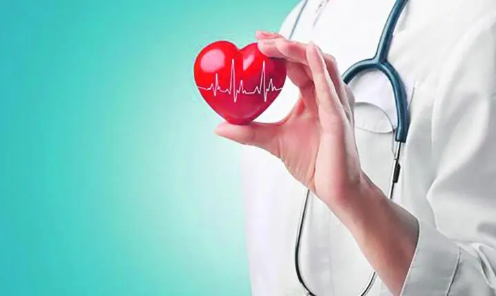 Dia do Cardiologista 