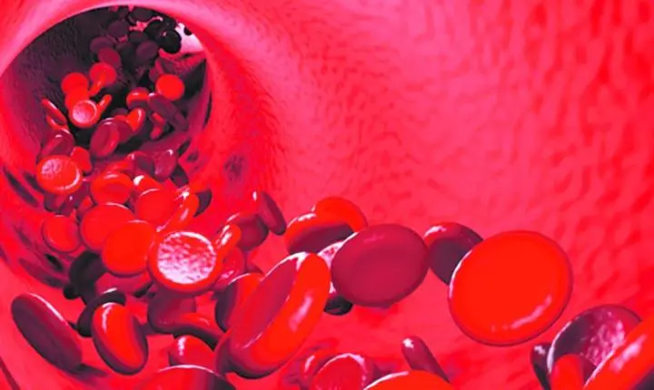 Dia Internacional da Hemofilia