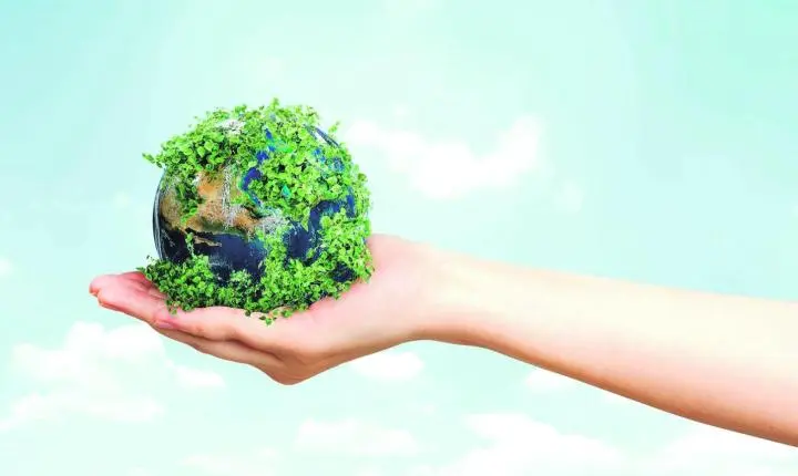 Dia Internacional do Planeta Terra 