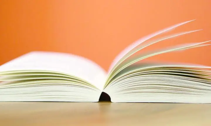 Dia Nacional do Livro - 29 de outubro