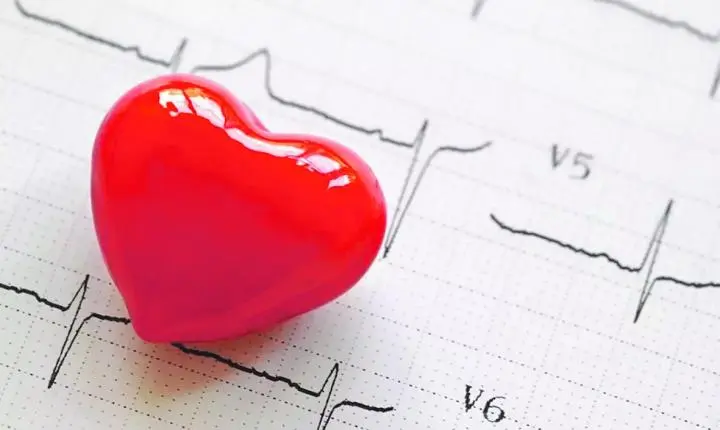 No Dia Mundial do Coração, especialistas alertam para a prevenção de doenças cardiovasculares
